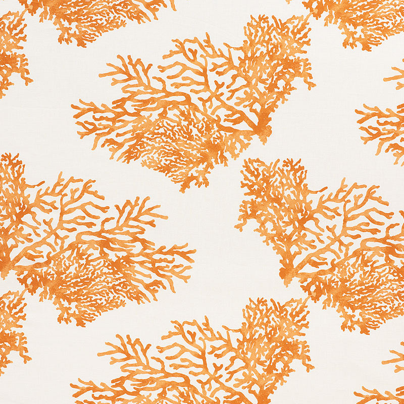 GREAT-BARRIER-REEF-ORANGE-SCHUMACHER-175366