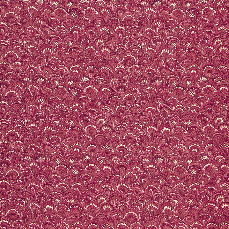 CAPULET-CARNELIAN-SCHUMACHER-175662