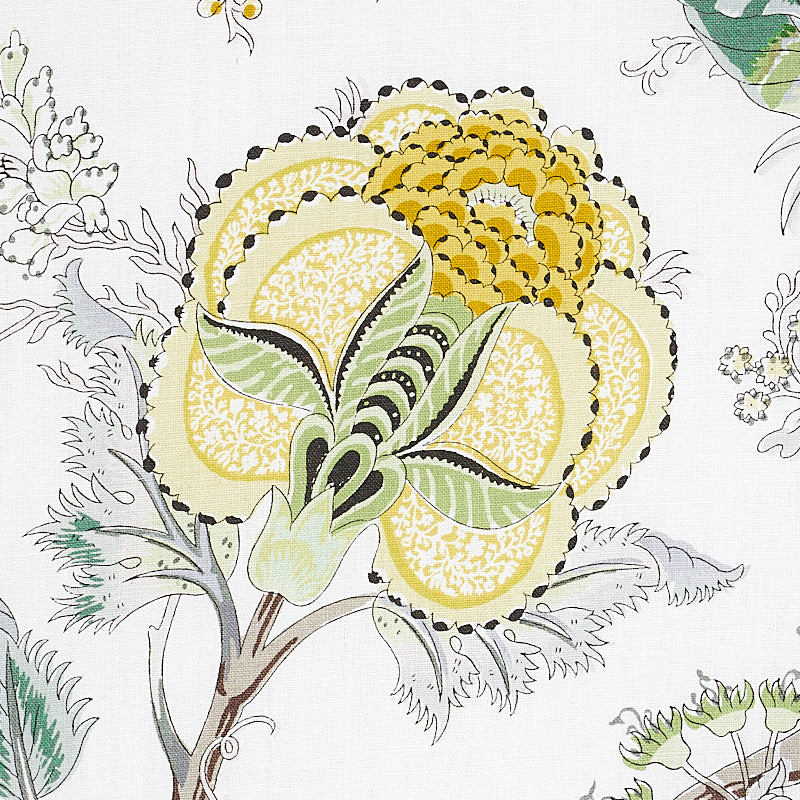 INDIAN-ARBRE-CITRON-SCHUMACHER-175783