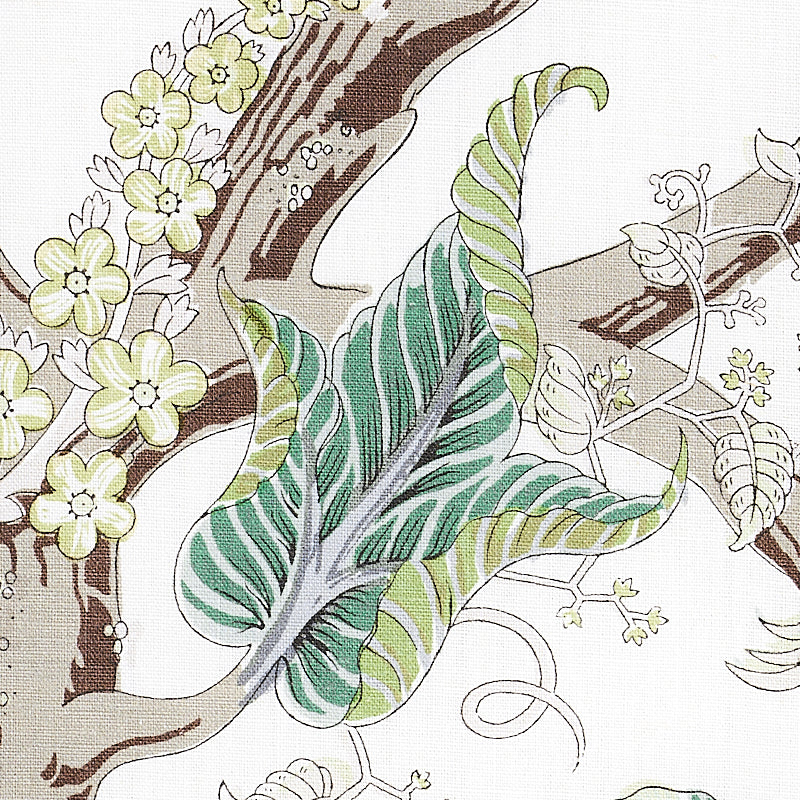 INDIAN-ARBRE-CITRON-SCHUMACHER-175783