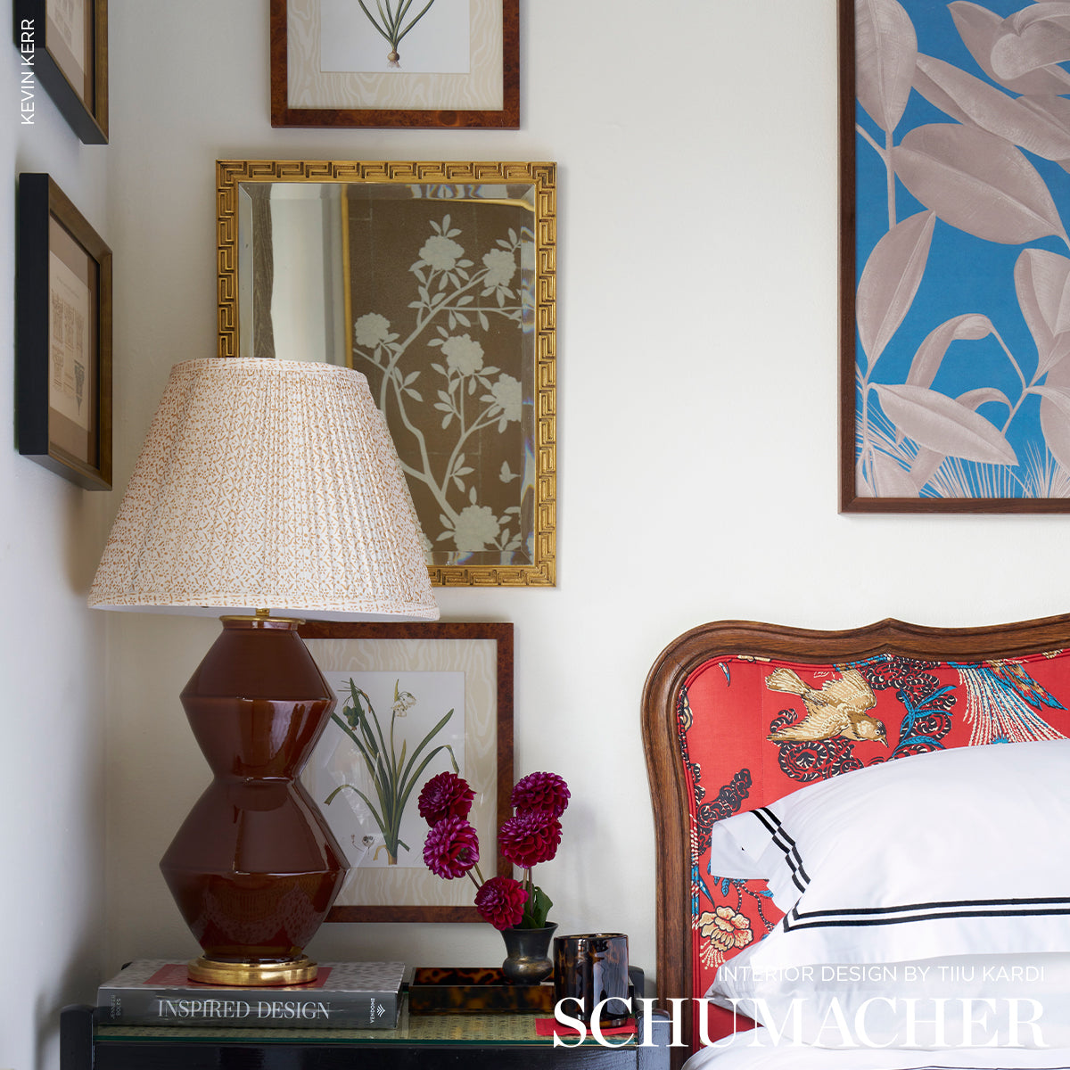 PEACOCK-RED-SCHUMACHER-175910
