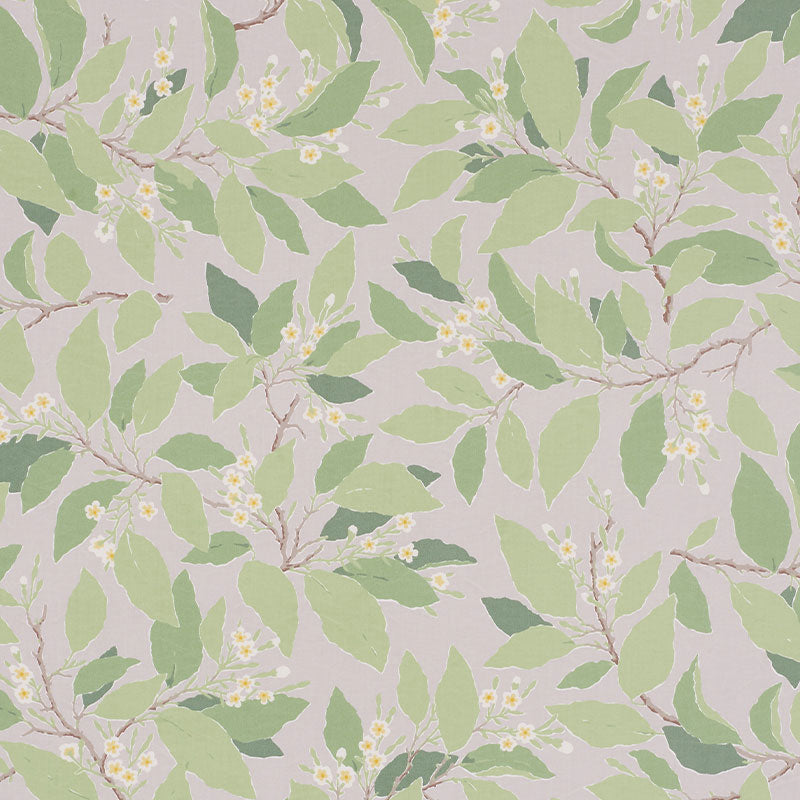 DOGWOOD-LEAF-GRISAILLE-SCHUMACHER-176521