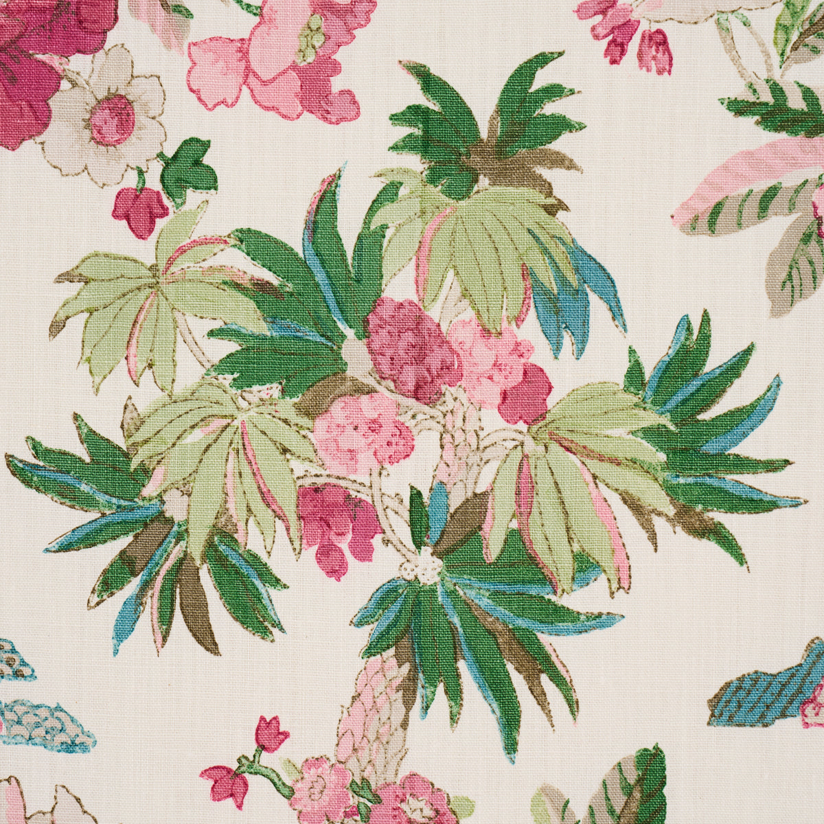 FLORIBUNDA-DOCUMENT-SCHUMACHER-176780