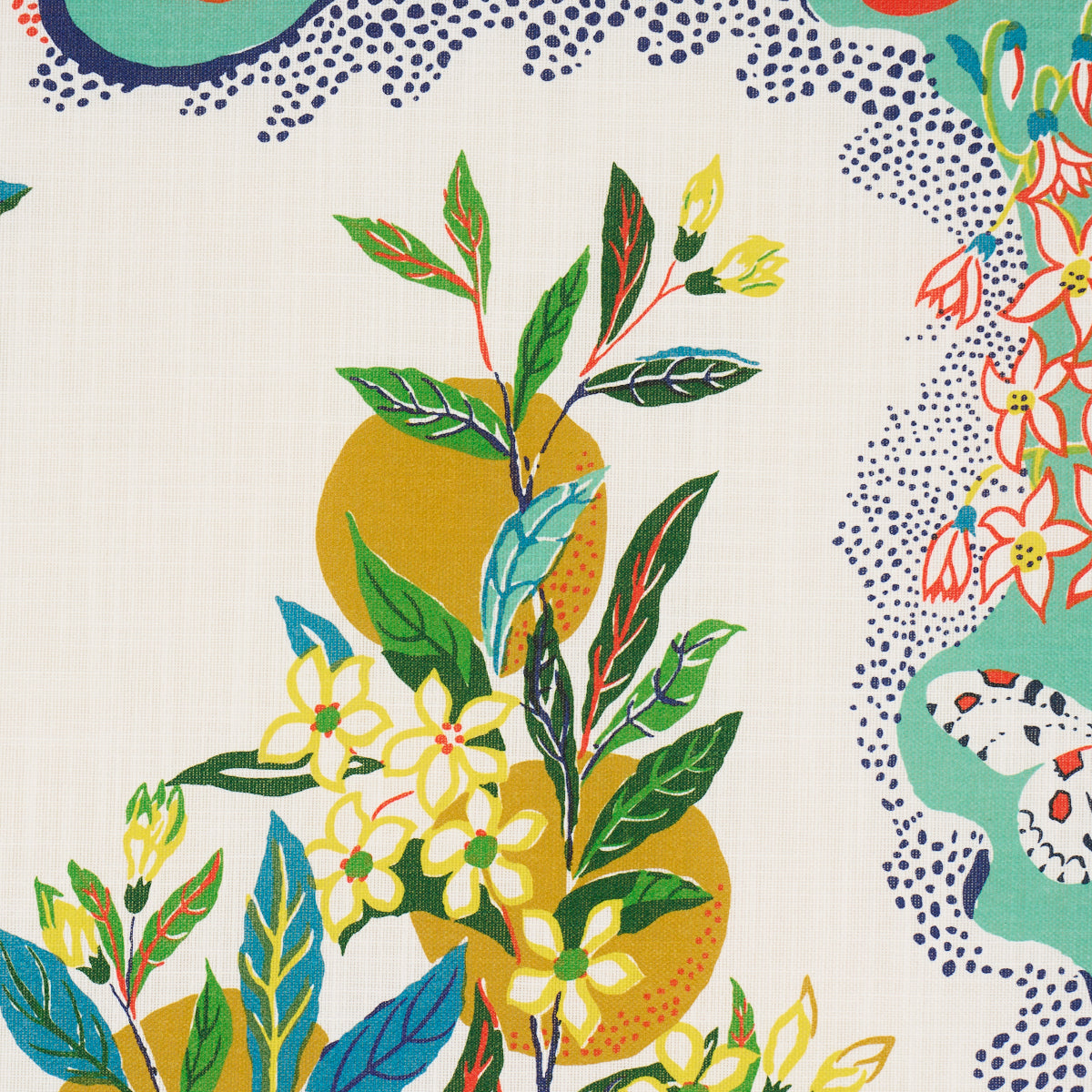 CITRUS-GARDEN-INDOOR-OUTDOOR-PRIMARY-SCHUMACHER-177330