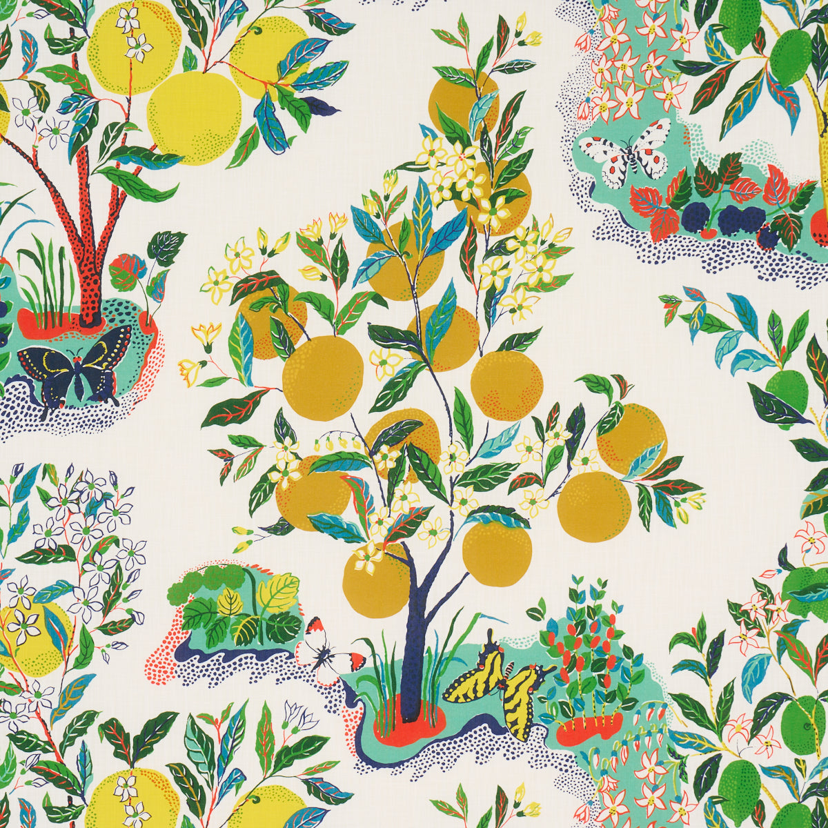 CITRUS-GARDEN-INDOOR-OUTDOOR-PRIMARY-SCHUMACHER-177330