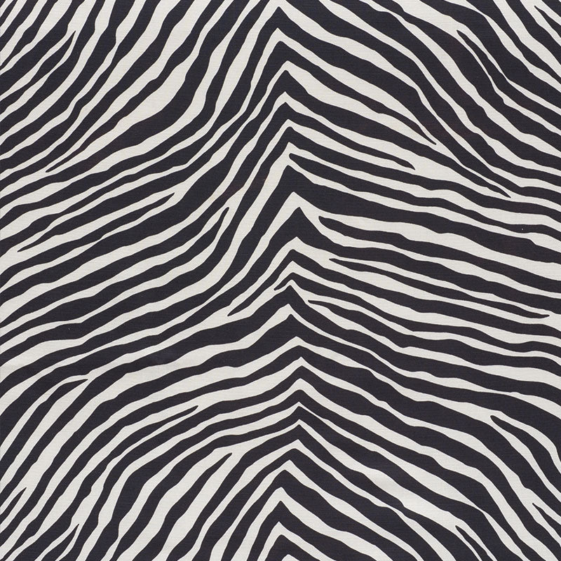 ICONIC-ZEBRA-BLACK-SCHUMACHER-177443