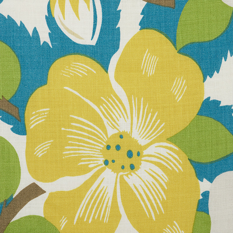 MAGNOLIAS-CITRON-PEACOCK-SCHUMACHER-177560
