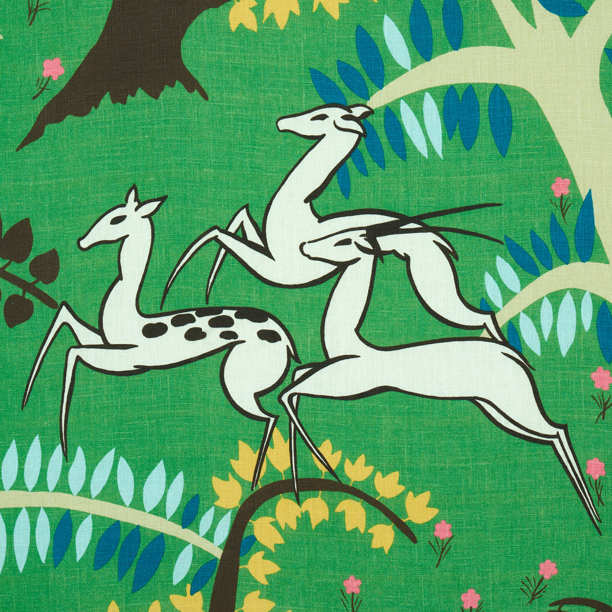 ANTELOPES-JADE-SCHUMACHER-177570