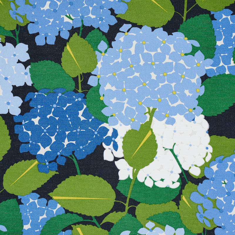 HYDRANGEA-DOCUMENT-SCHUMACHER-177580