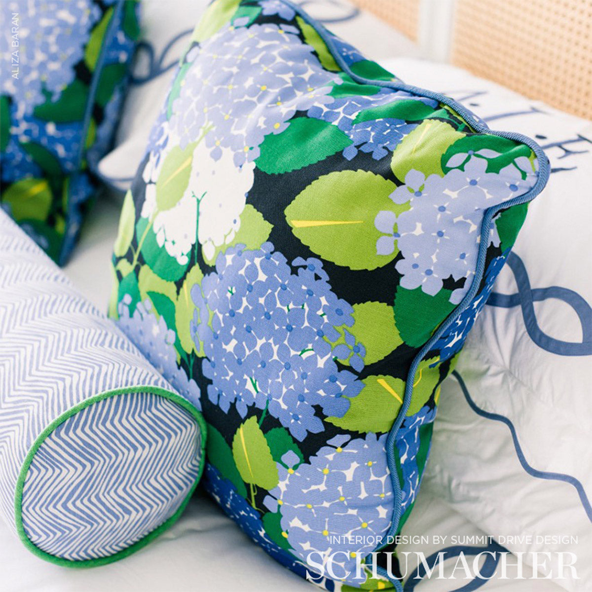 HYDRANGEA-DOCUMENT-SCHUMACHER-177580