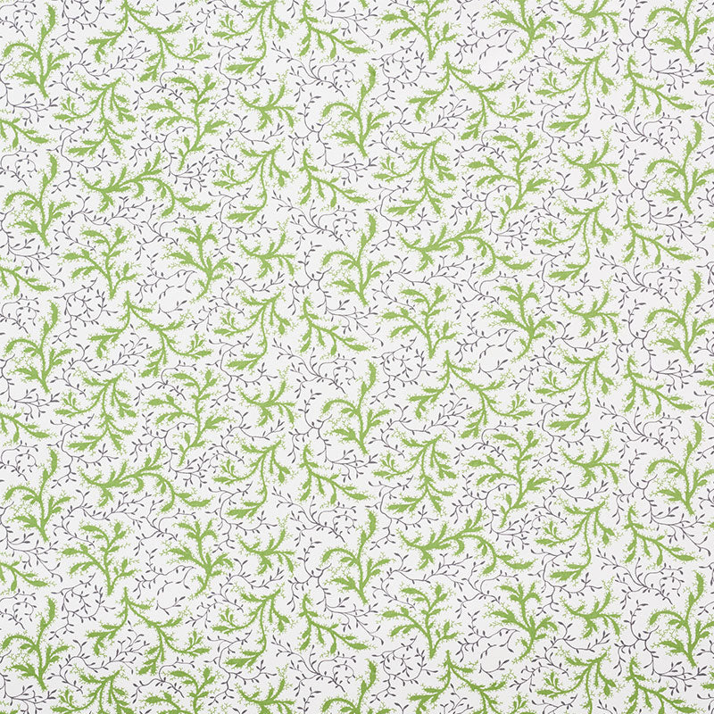 SPRIG-MOSS-SCHUMACHER-177831