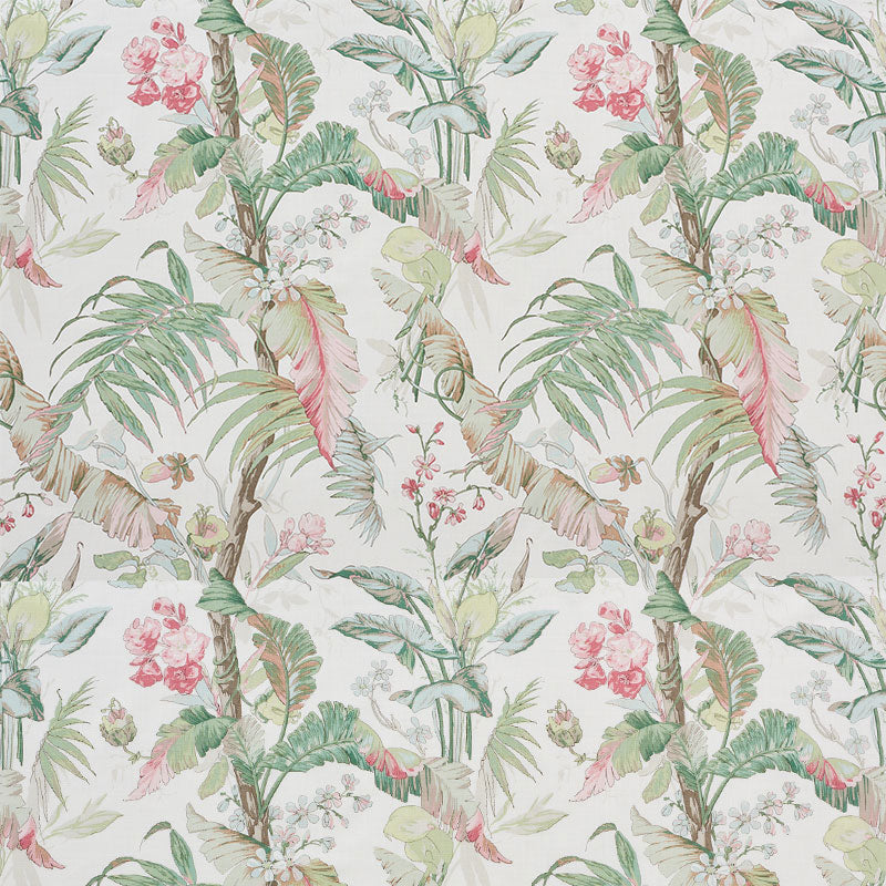 TROPIQUE-BLUSH-SCHUMACHER-178130