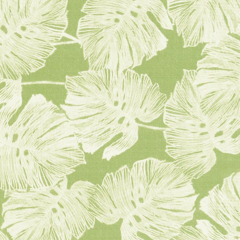 DEL-COCO-SHEER-LEAF-SCHUMACHER-178342