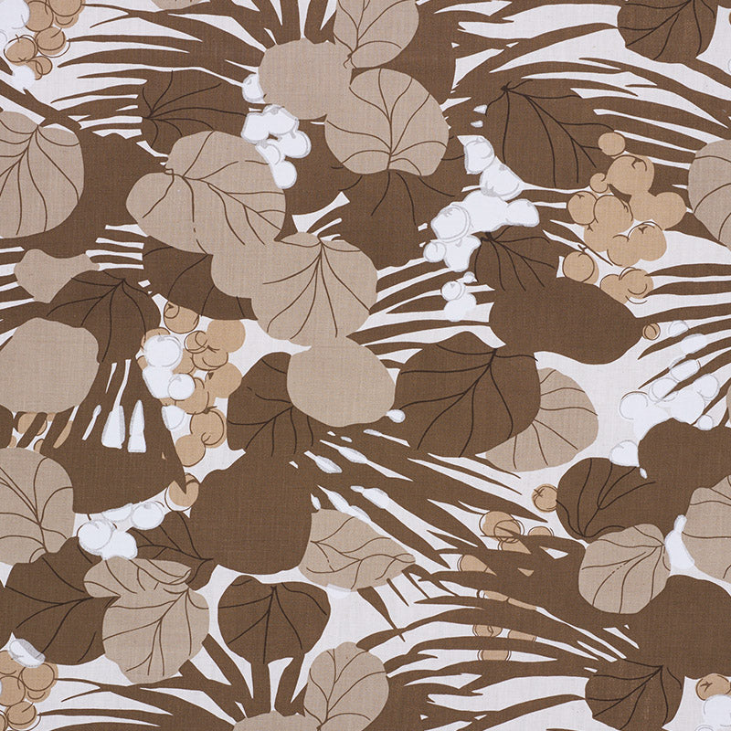 SEA-GRAPES-BARK-SCHUMACHER-178632