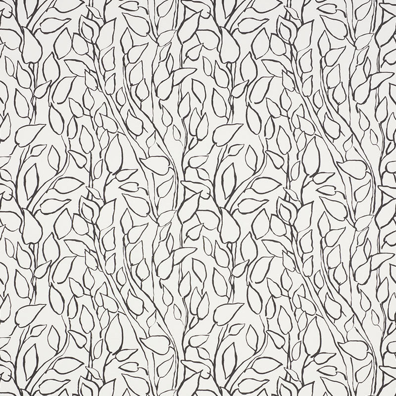 SOLANDRA-VINE-BLACK-SCHUMACHER-178702
