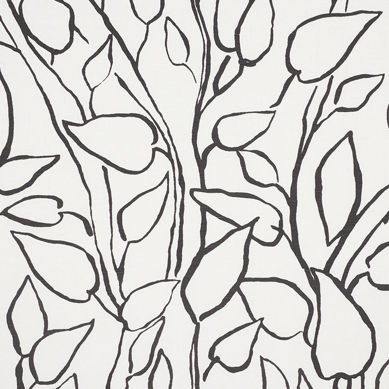 SOLANDRA-VINE-BLACK-SCHUMACHER-178702