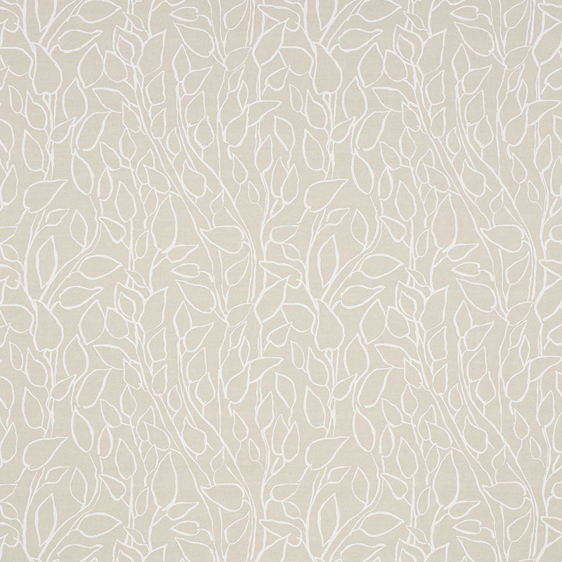 SOLANDRA-VINE-NATURAL-SCHUMACHER-178703
