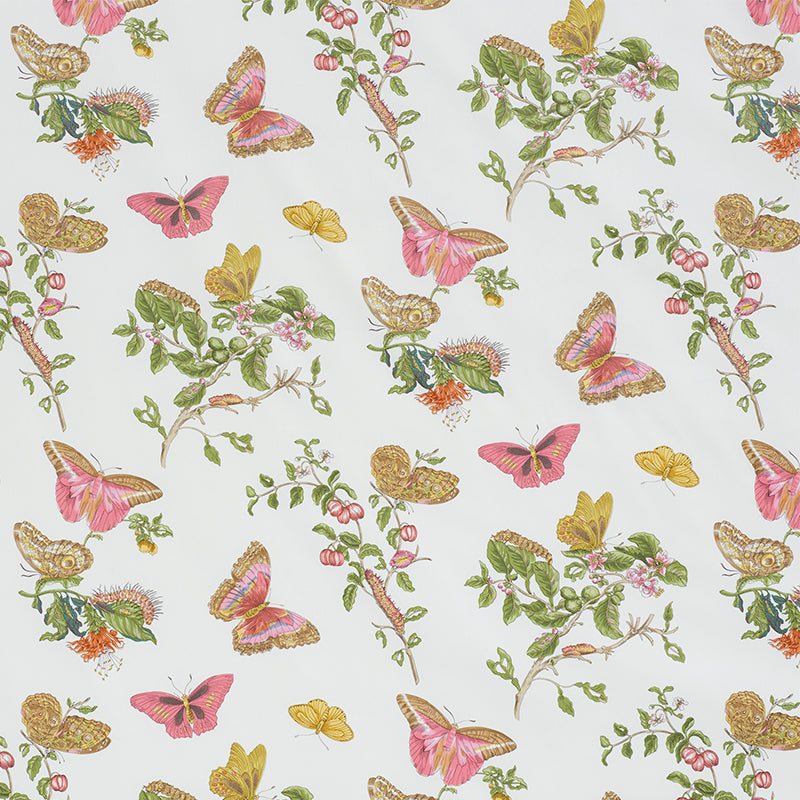 BAUDIN-BUTTERFLY-CHINTZ-BLUSH-SCHUMACHER-178720