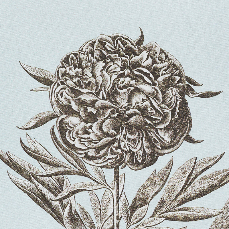 CABOT-BOTANICAL-SKY-SCHUMACHER-178750