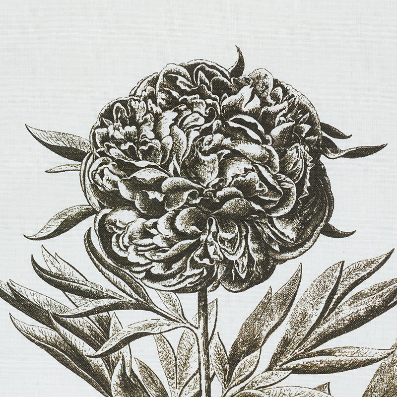 CABOT-BOTANICAL-IVORY-SCHUMACHER-178751