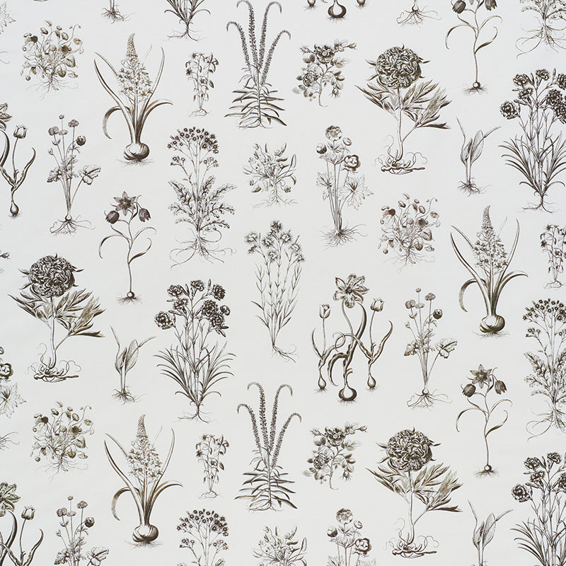 CABOT-BOTANICAL-IVORY-SCHUMACHER-178751