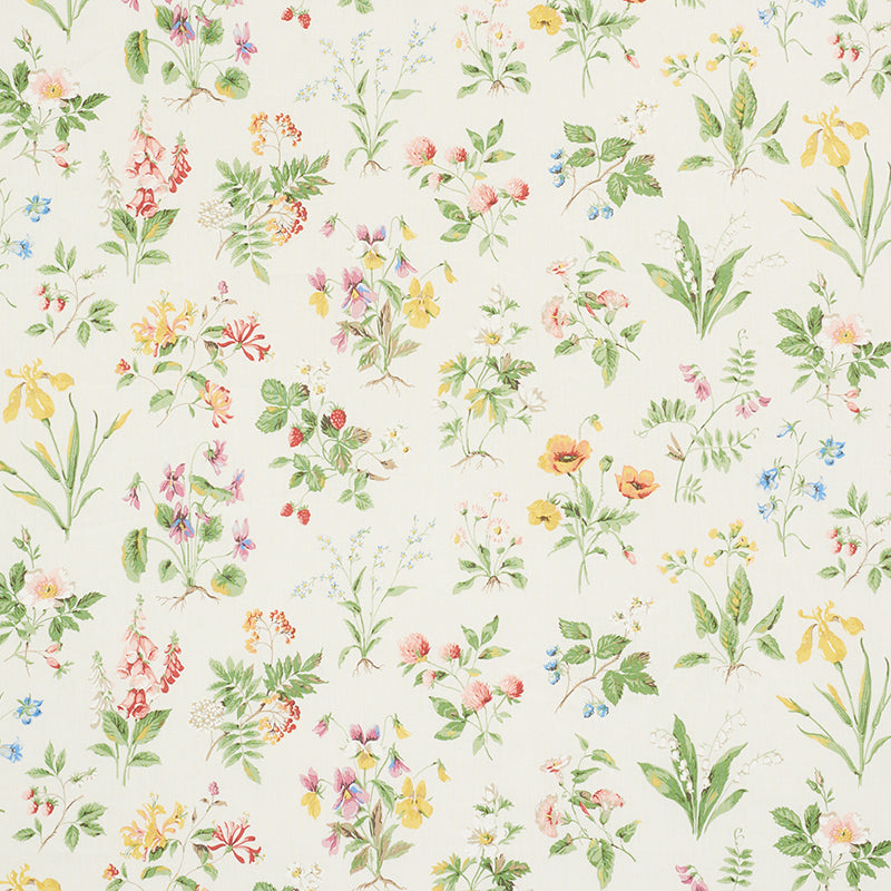 FLOREANA-BERRY-SCHUMACHER-178791