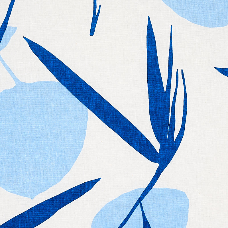 JOAN-BLUE-SCHUMACHER-178852