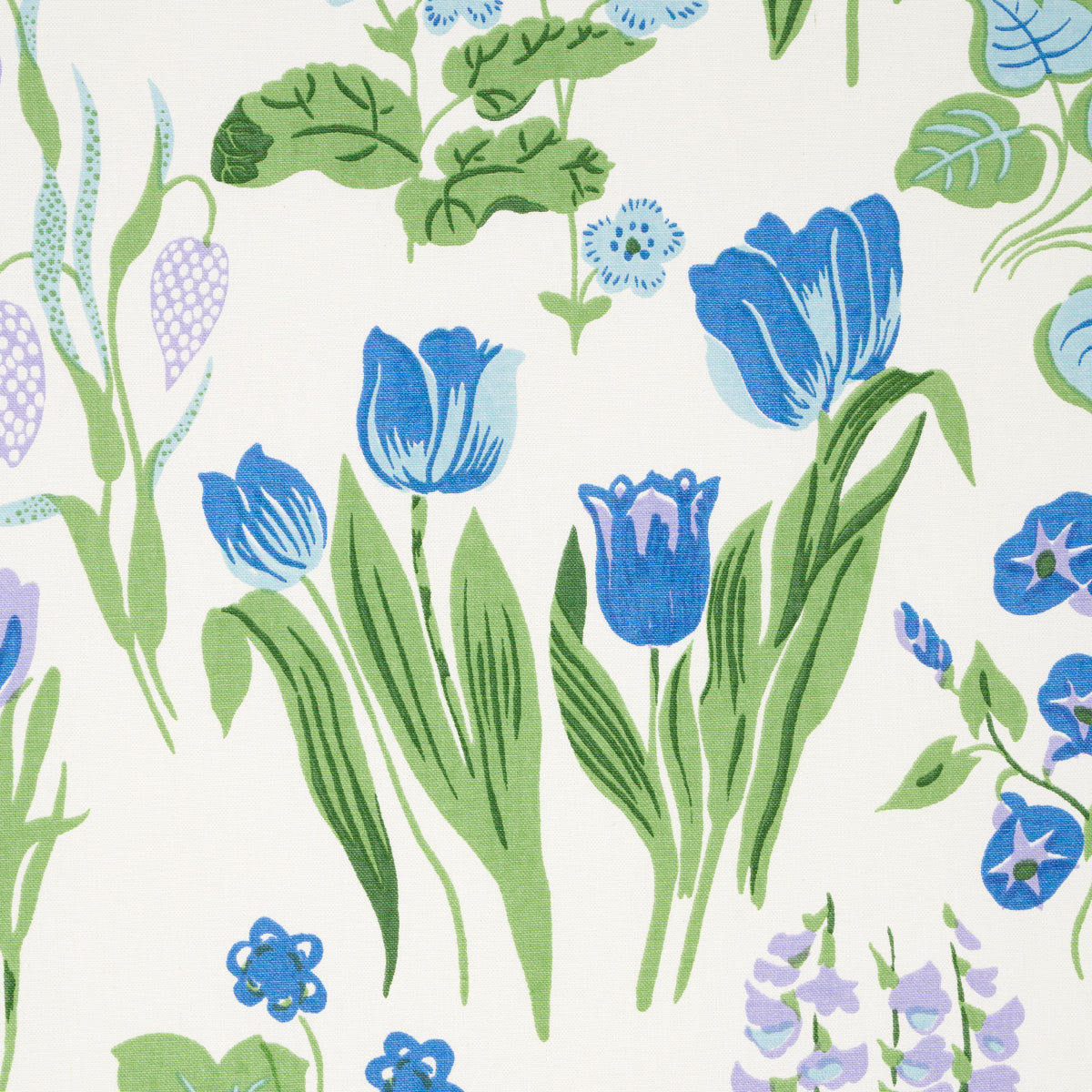 CARLY-BLUE-BELL-SCHUMACHER-179082