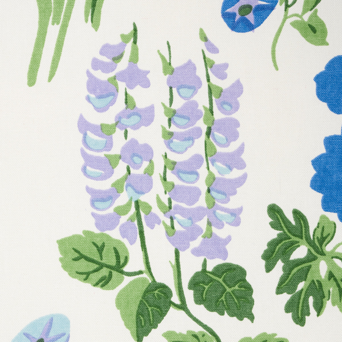 CARLY-BLUE-BELL-SCHUMACHER-179082