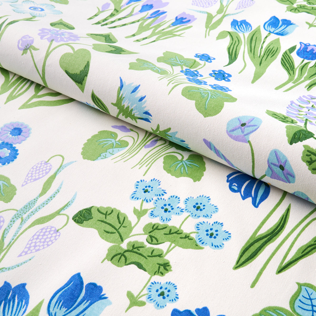 CARLY-BLUE-BELL-SCHUMACHER-179082