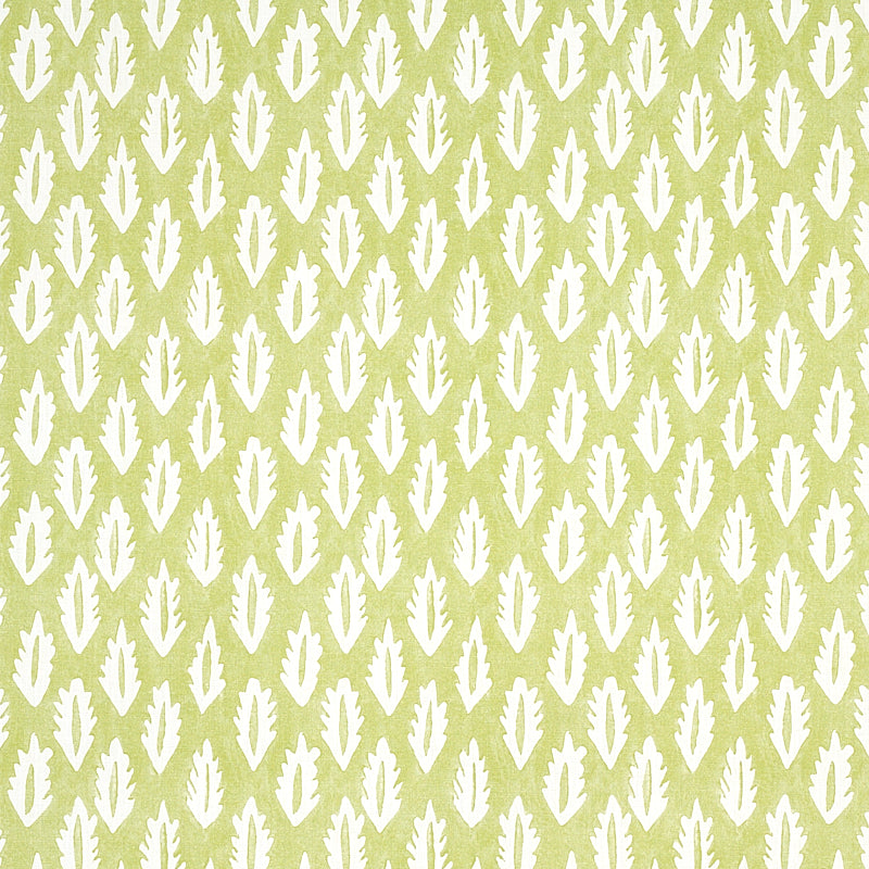 FOREST-GRASS-GREEN-SCHUMACHER-179120