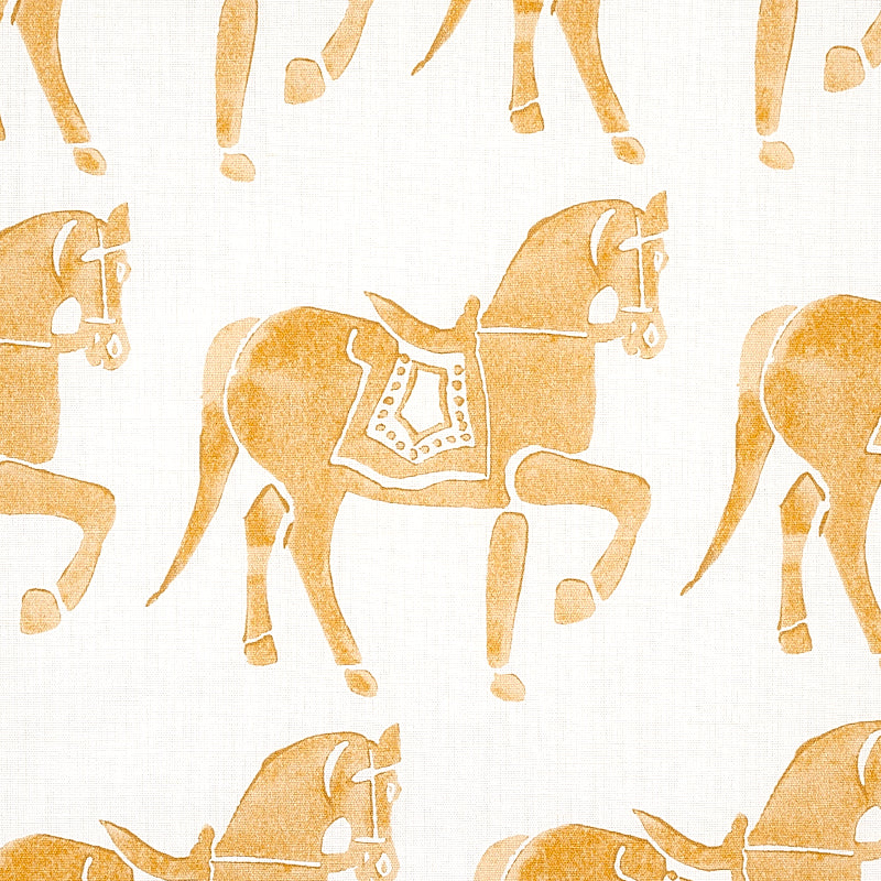 MARWARI-HORSE-MUSTARD-SCHUMACHER-179131