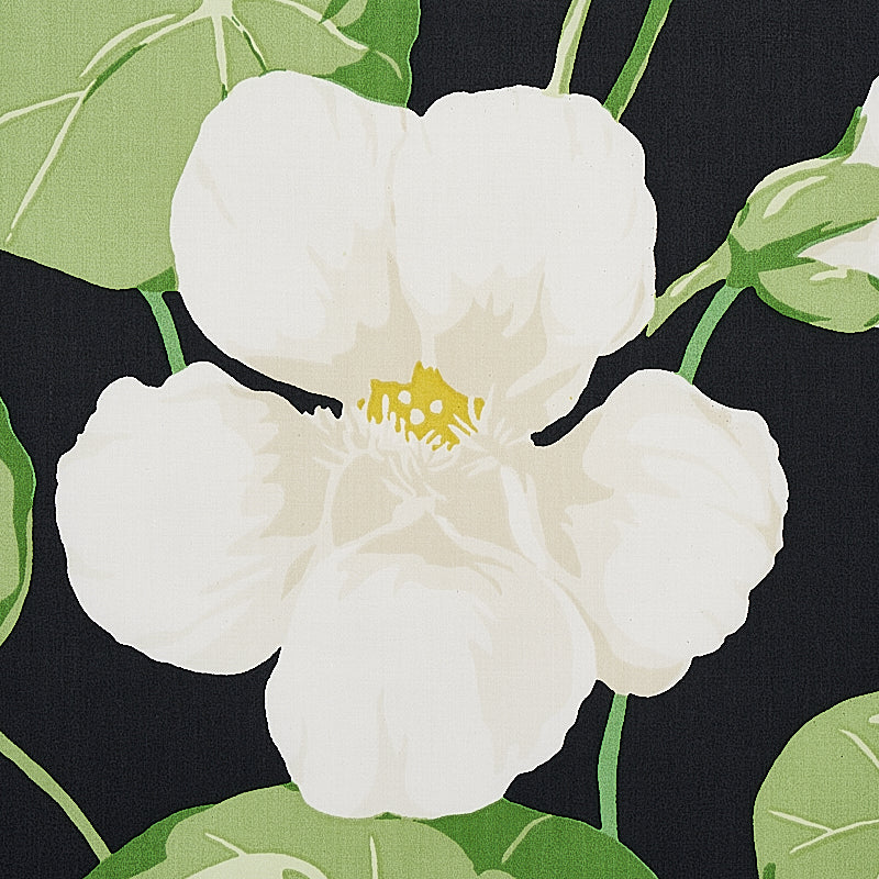 NASTURTIUM-NOIR-SCHUMACHER-179490