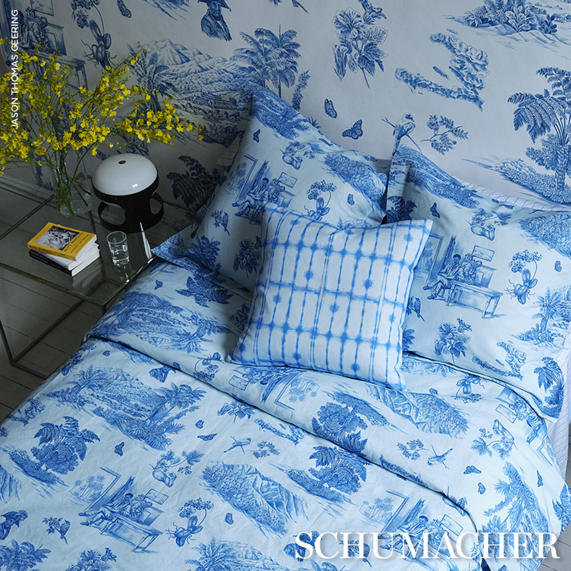 TOUSSAINT-TOILE-BLUE-SKY-SCHUMACHER-180273