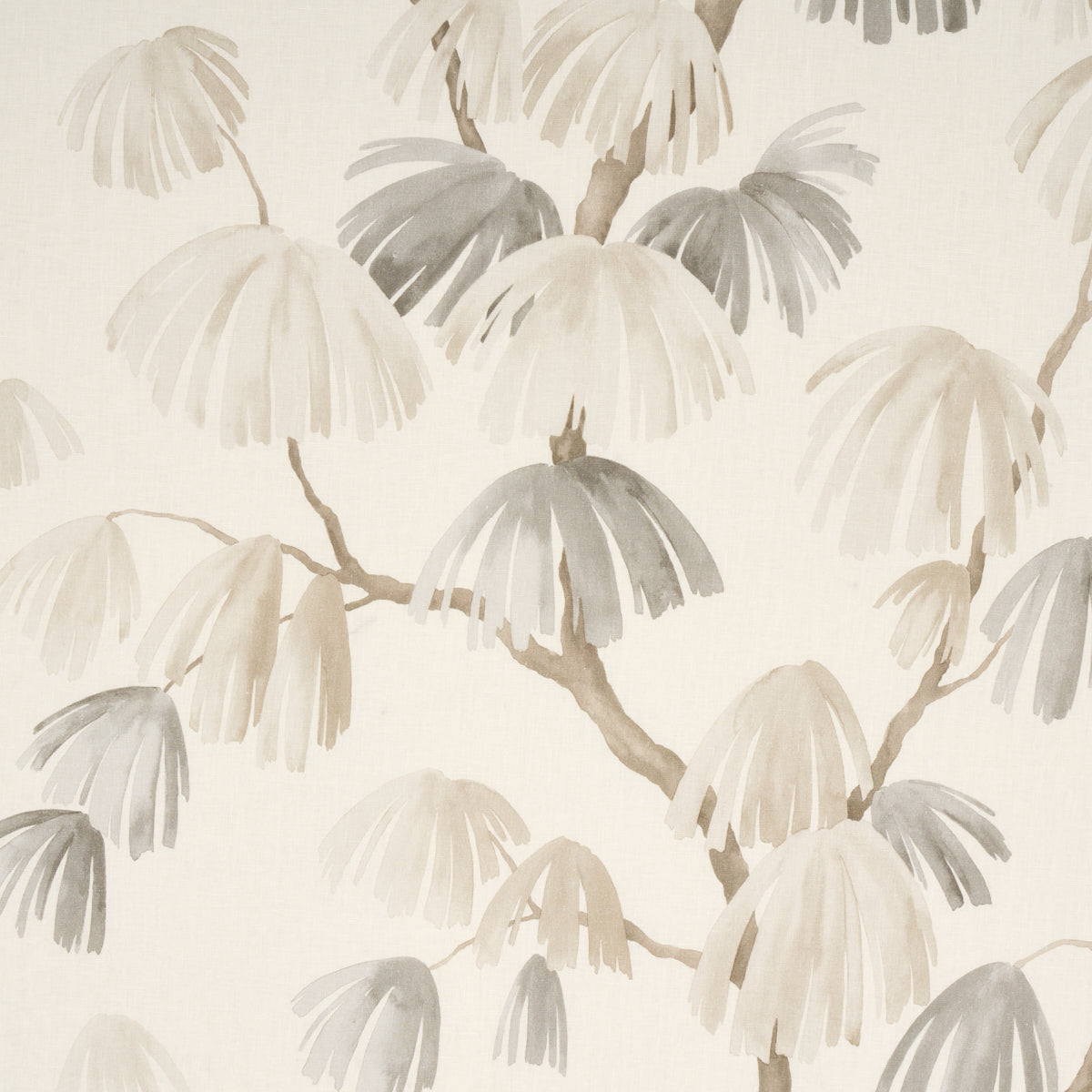 WEEPING-PINE-NEUTRAL-SCHUMACHER-180351