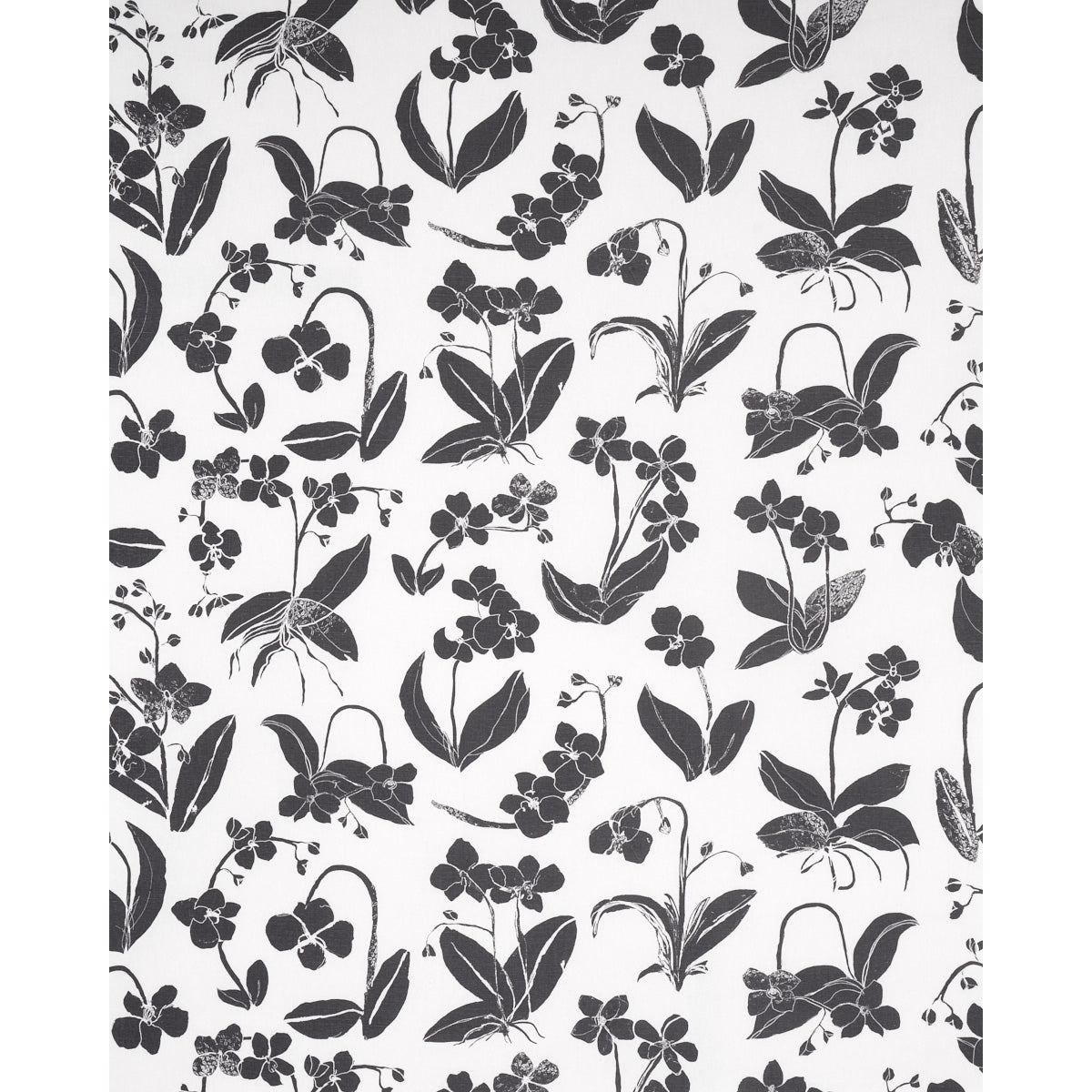 ORCHIDS-HAVE-DREAMS-SOFT-BLACK-SCHUMACHER-180510