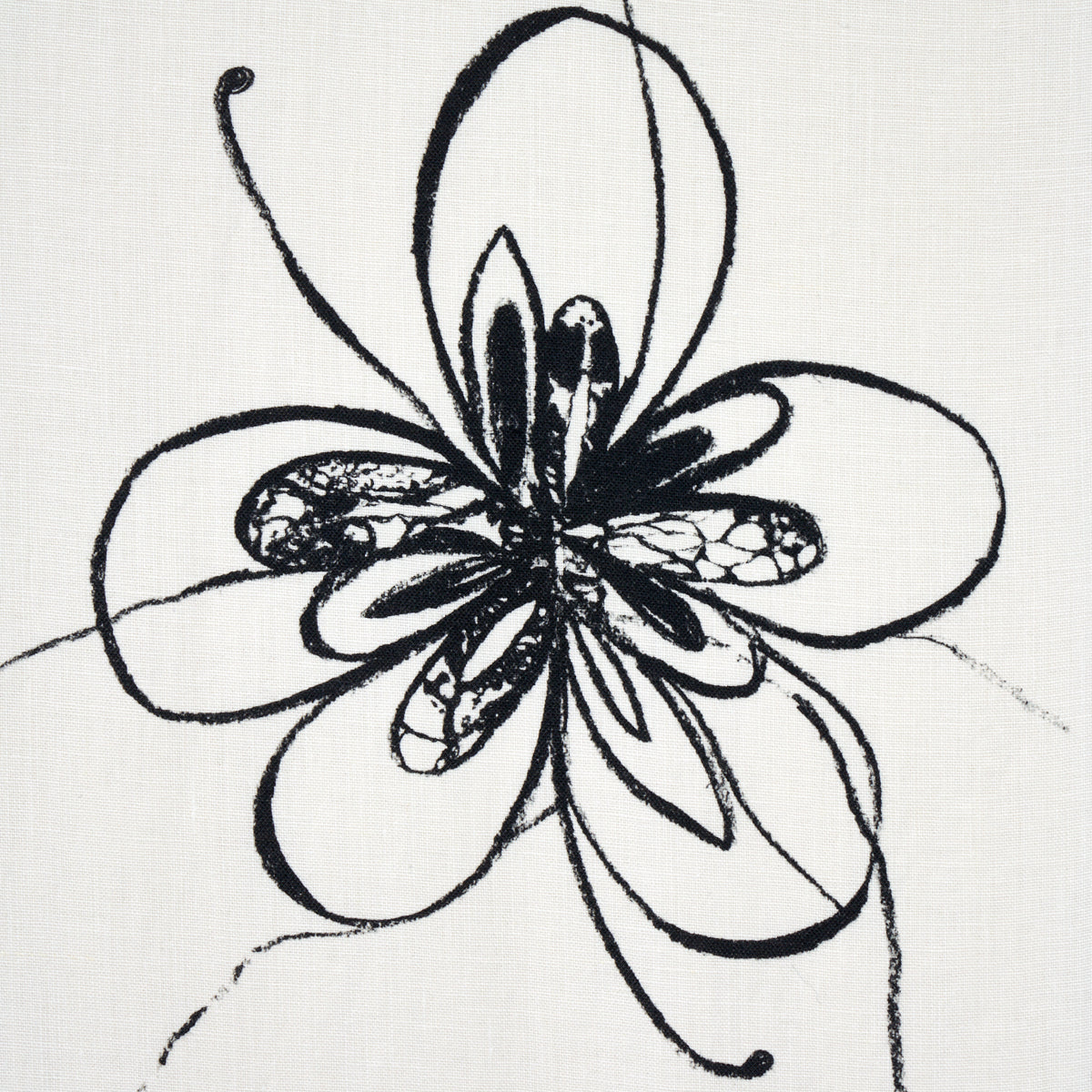 COME-BACK-AS-A-FLOWER-SOFT-BLACK-SCHUMACHER-180520
