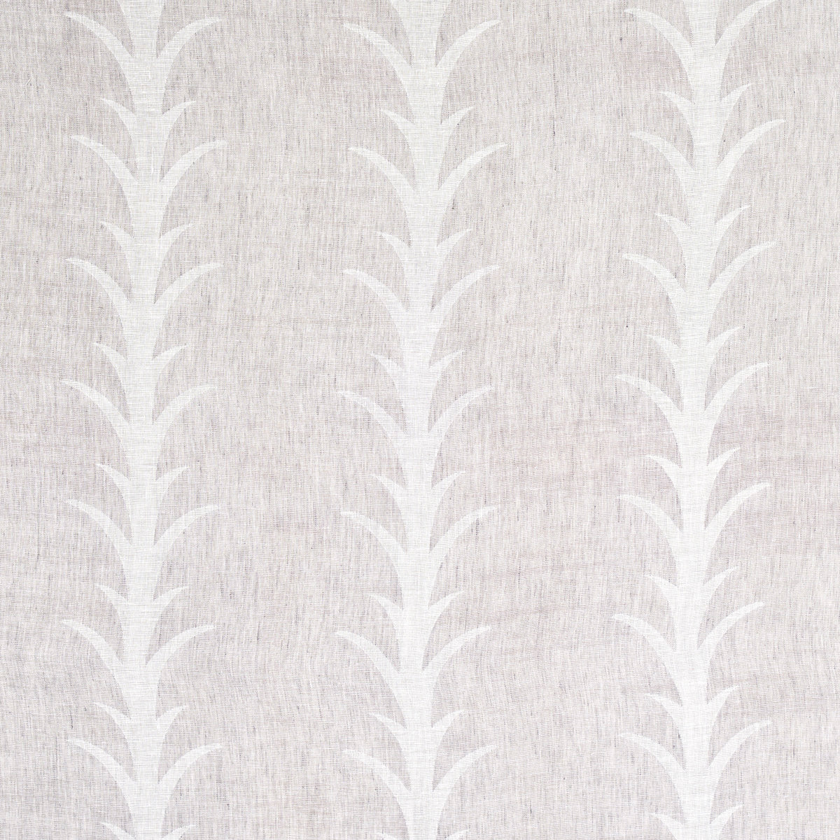 ACANTHUS-STRIPE-SHEER-CARBON-SCHUMACHER-180801