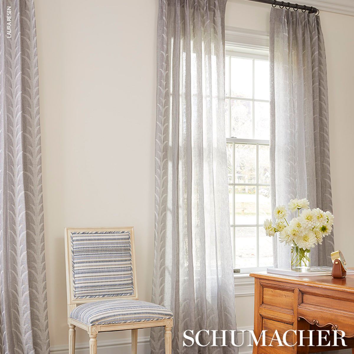 ACANTHUS-STRIPE-SHEER-CARBON-SCHUMACHER-180801