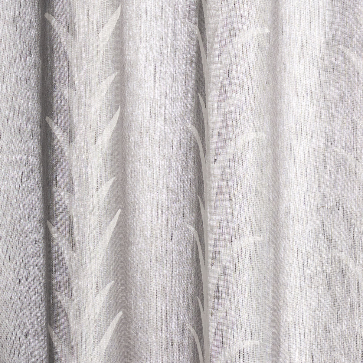 ACANTHUS-STRIPE-SHEER-CARBON-SCHUMACHER-180801