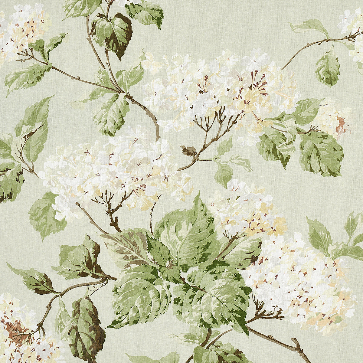 SUMMER-HYDRANGEA-CELADON-SCHUMACHER-180820