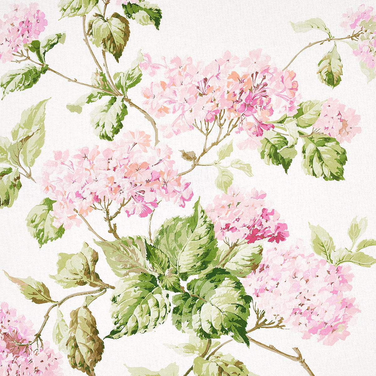 SUMMER-HYDRANGEA-BLUSH-SCHUMACHER-180821