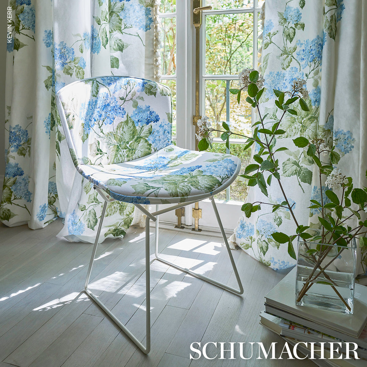 SUMMER-HYDRANGEA-BLUE-HYDRANGEA-SCHUMACHER-180822