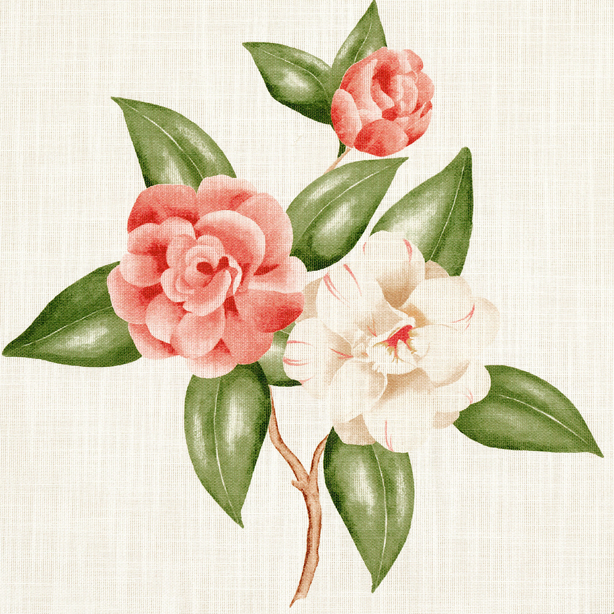 CASABLANCA-FLORAL-INDOOR-OUTDOOR-CORAL-SCHUMACHER-180911