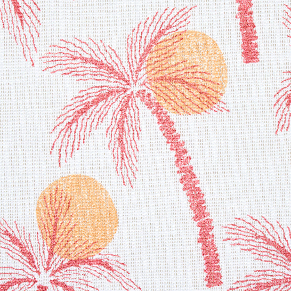 CLARABELLA-PALM-INDOOR-OUTDOOR-CITRUS-SCHUMACHER-181010