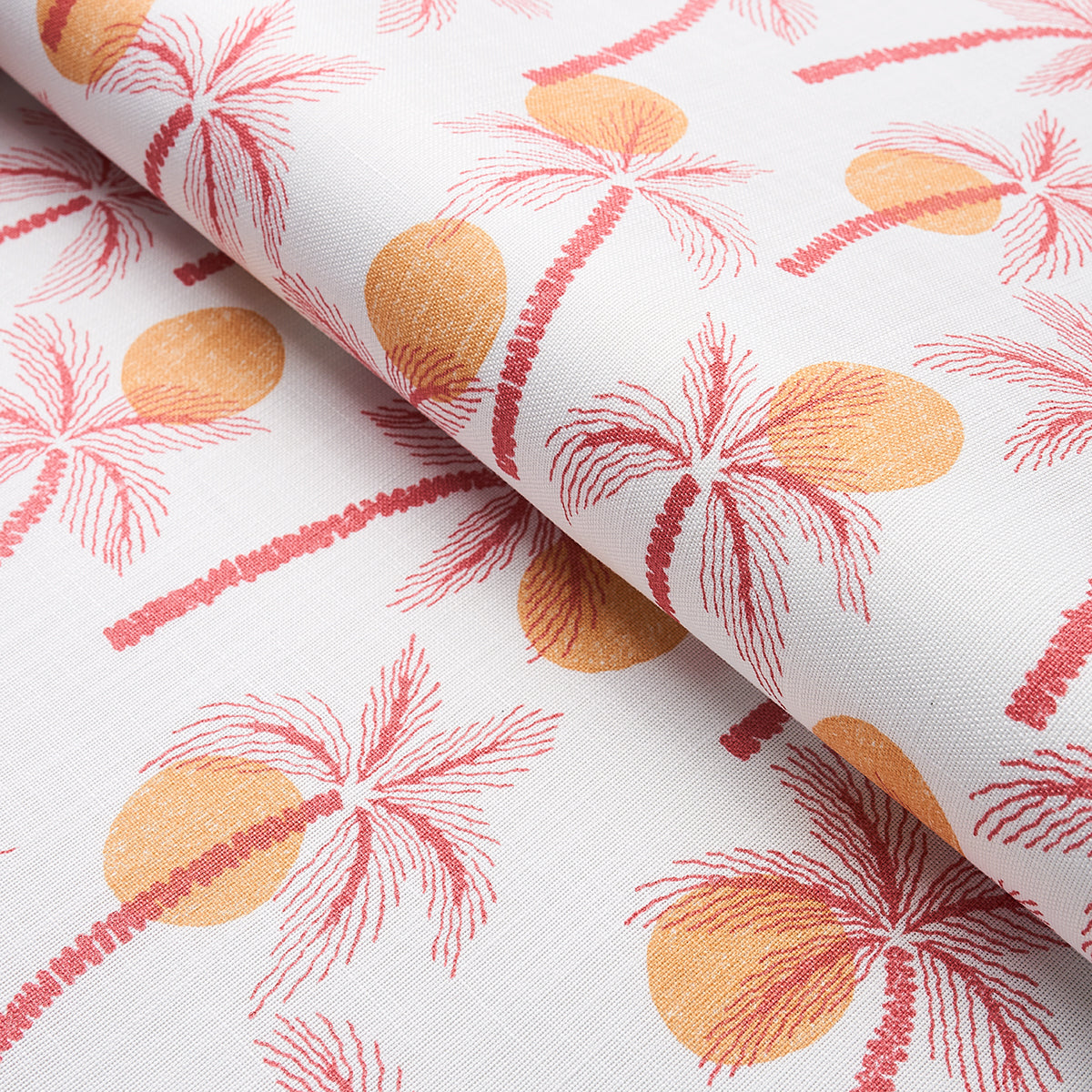 CLARABELLA-PALM-INDOOR-OUTDOOR-CITRUS-SCHUMACHER-181010