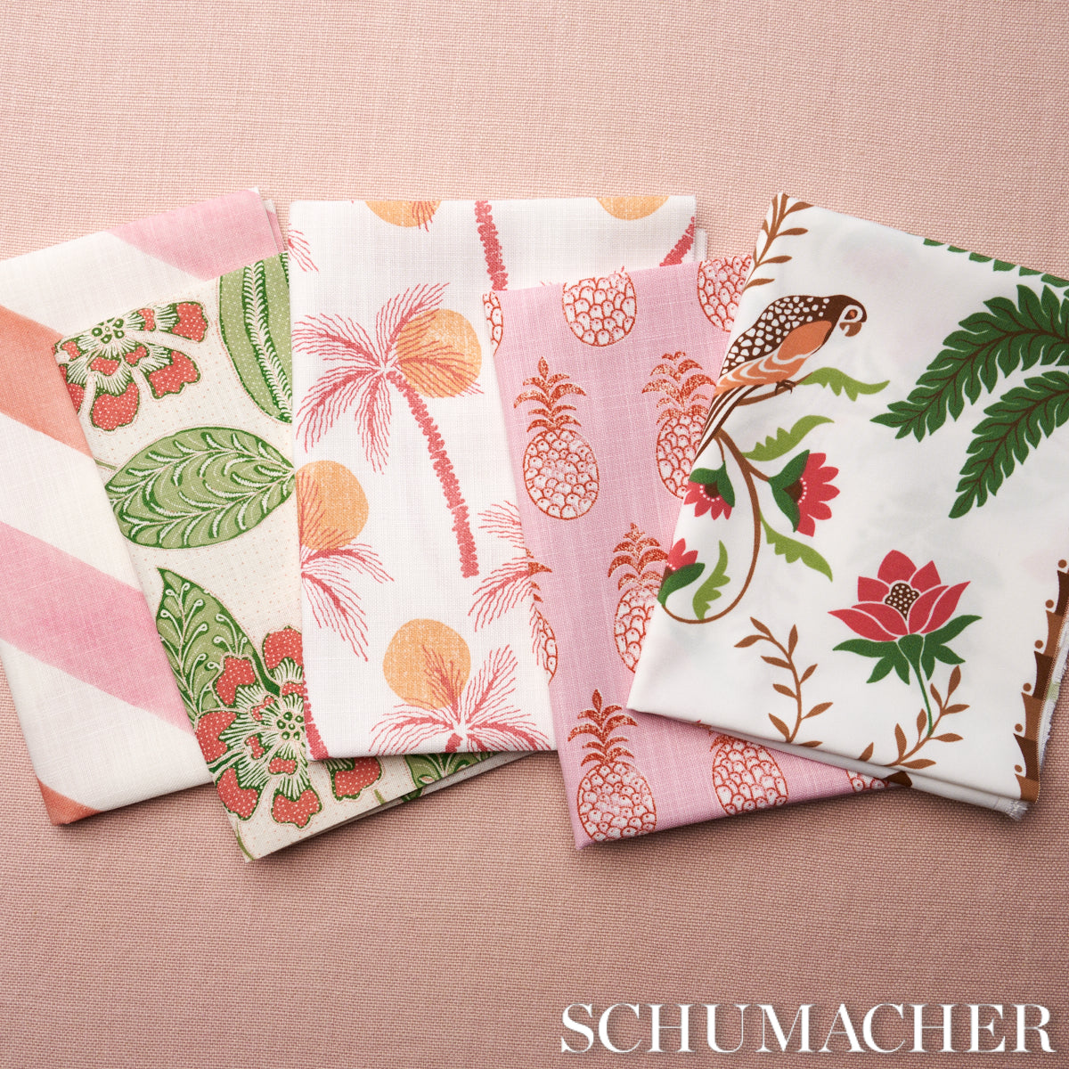 CLARABELLA-PALM-INDOOR-OUTDOOR-CITRUS-SCHUMACHER-181010