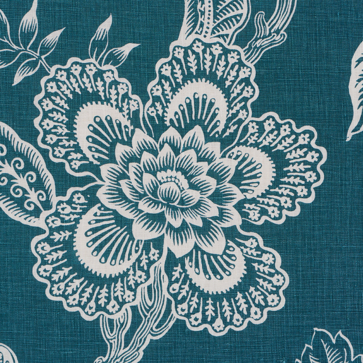 HOTHOUSE-FLOWERS-SILHOUETTE-PEACOCK-SCHUMACHER-181480