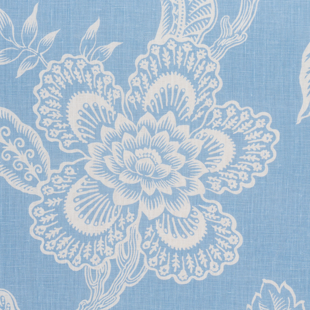 HOTHOUSE-FLOWERS-SILHOUETTE-BLISS-BLUE-SCHUMACHER-181481