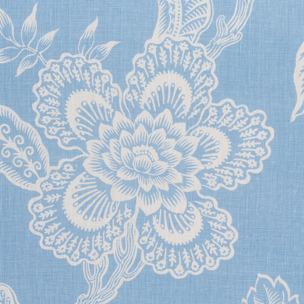 HOTHOUSE-FLOWERS-SILHOUETTE-BLISS-BLUE-SCHUMACHER-181481
